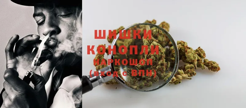 Марихуана Ganja  Малая Вишера 